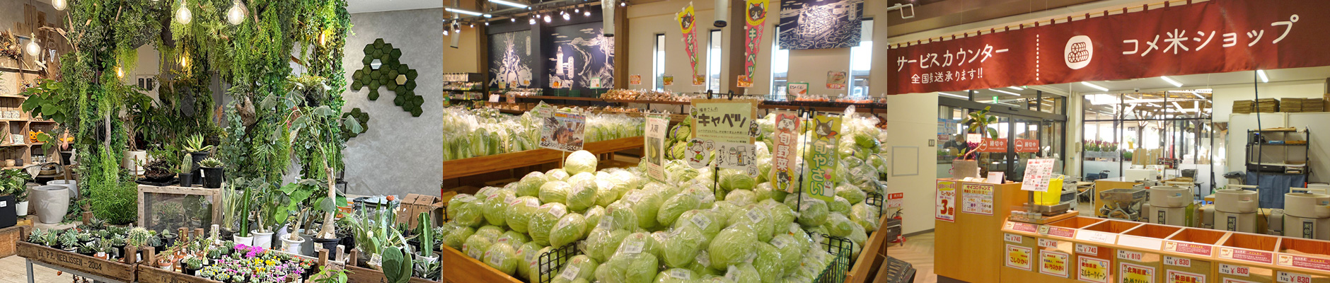 店内の様子